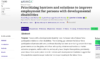 Prioritizing barriers and solutions to improve employment for persons with developmental disabilities